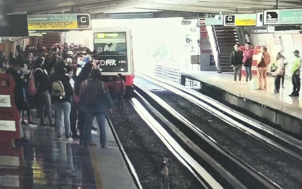 CDMX | Arrestan a hombre que bajó a las vías del metro para salvar a un perro