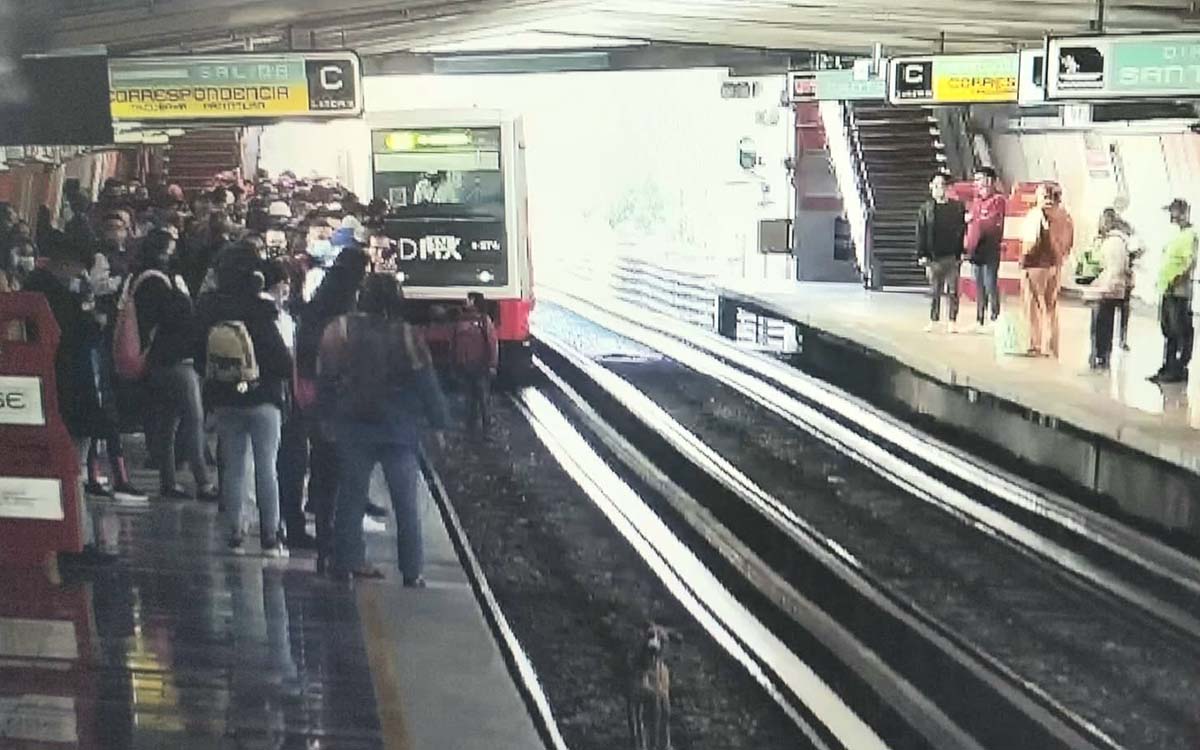 CDMX | Arrestan a hombre que bajó a las vías del metro para salvar a un perro