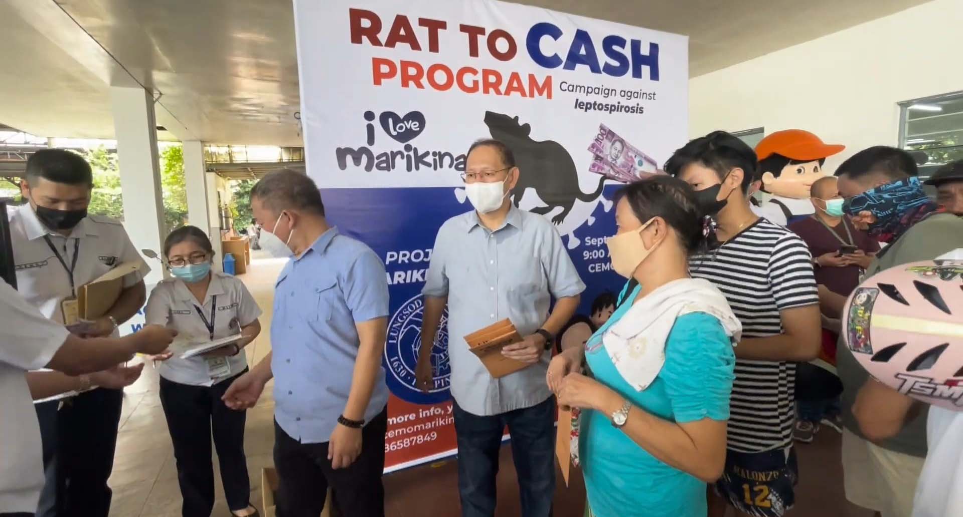 Cazan ratas por recompensa: así es como este país frena la leptospirosis