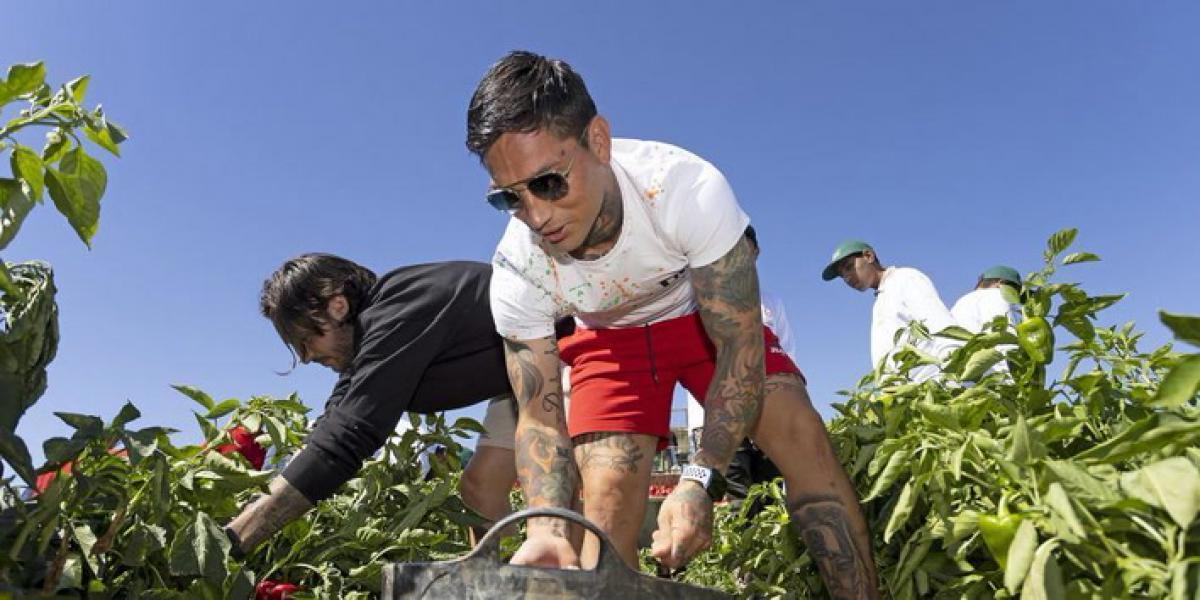 Chimy Ávila y Juan Cruz, agricultores por un día