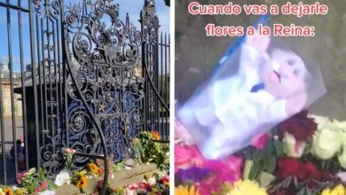 Dejan peluche de doctor Simi en ofrenda a la reina Isabel II en Edimburgo | Video