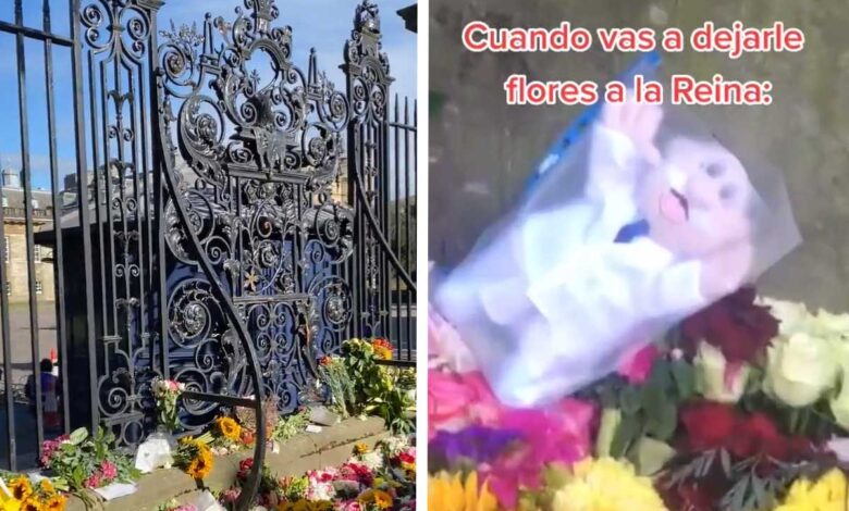 Dejan peluche de doctor Simi en ofrenda a la reina Isabel II en Edimburgo | Video