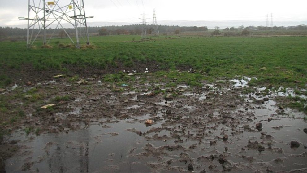 Descubre las causas de este olor