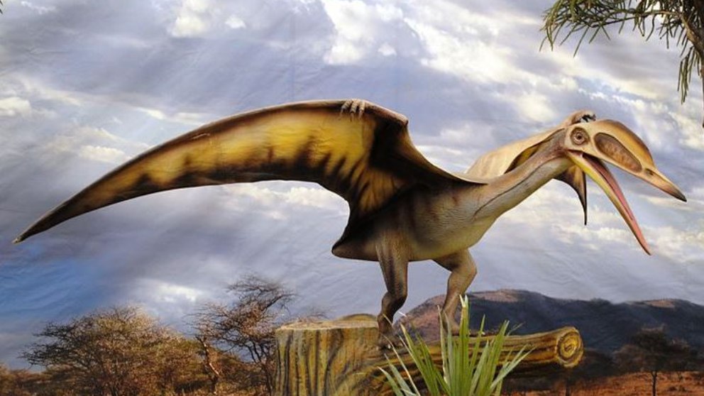 Dinosaurios: ¿Eran realmente inteligentes?