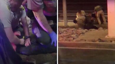 EU indemniza a madre de mexicano que falleció tras ser sometido brutalmente por policías | Video