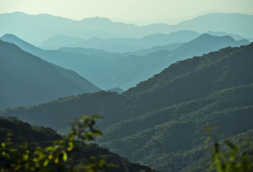 El derrumbe de una mina en Durango deja al menos un muerto