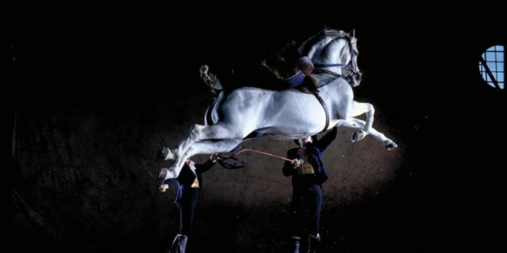 El mejor ballet ecuestre dirigido por un medallista olímpico, en Barcelona