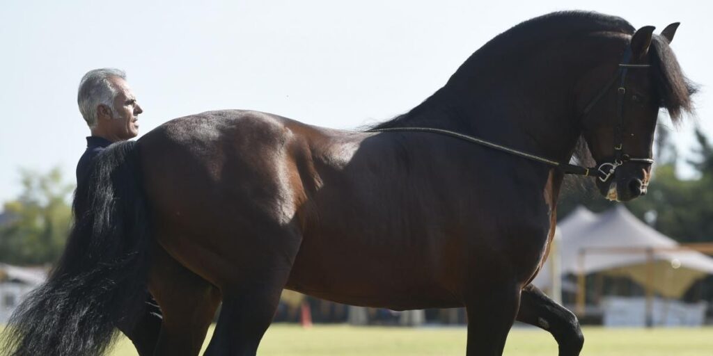 En Barcelona RC de Polo