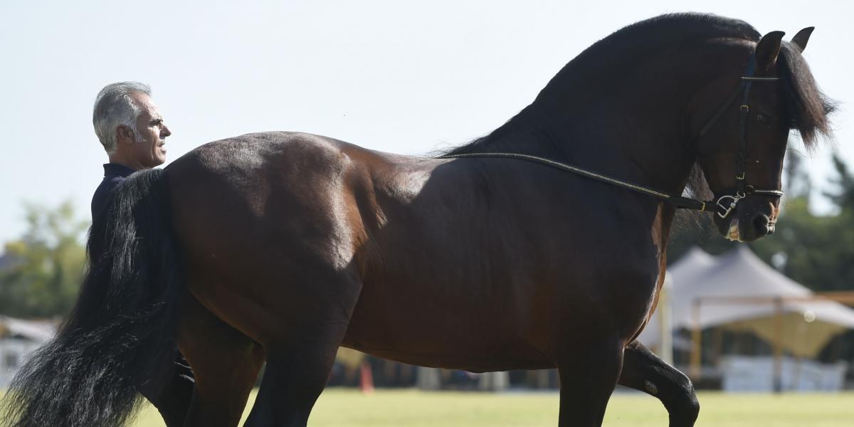 En Barcelona RC de Polo