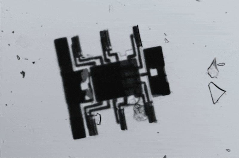 Estos robots autónomos e inalámbricos podrían bailar sobre un cabello humano