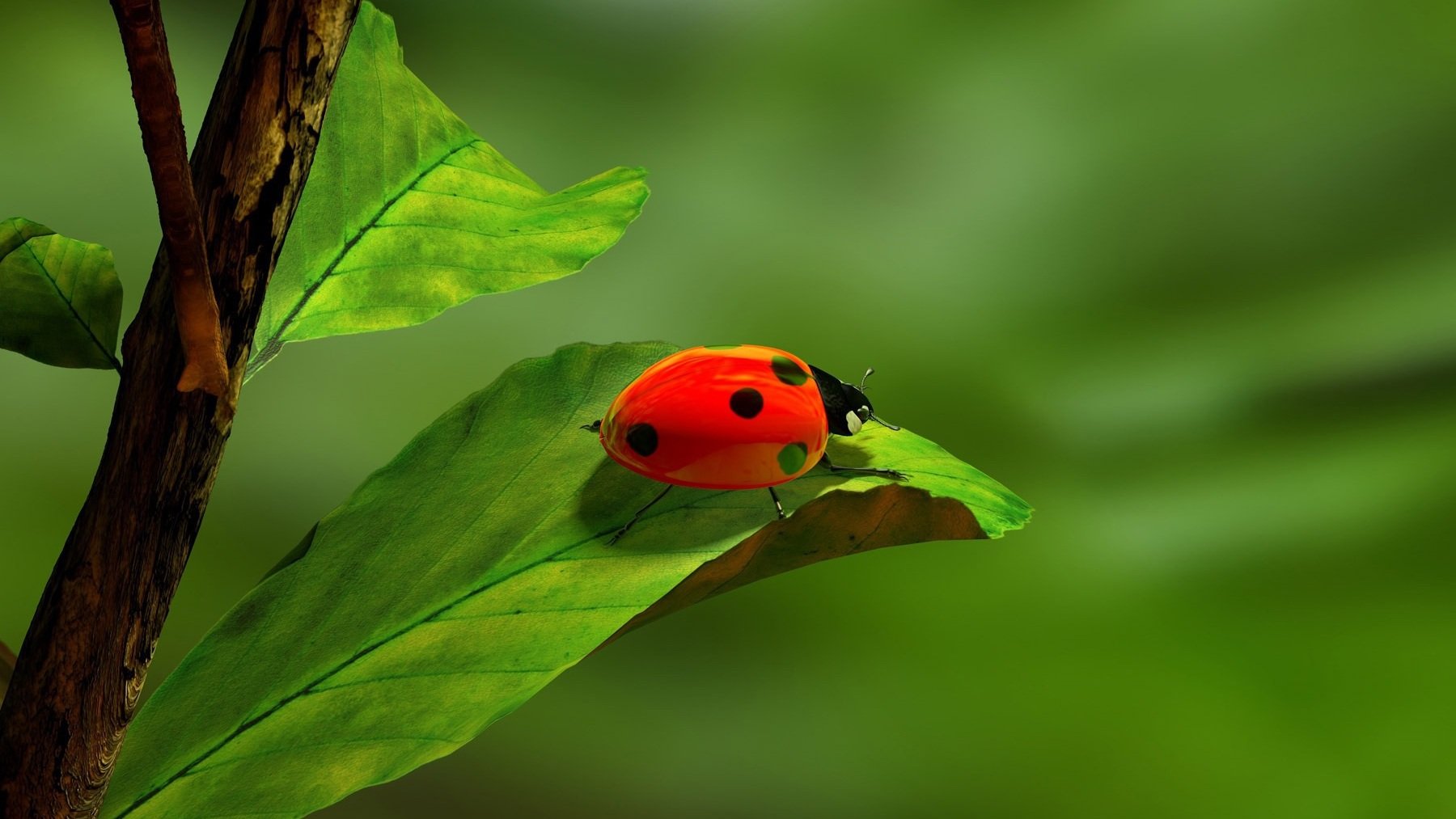 Estos son los bichos que podrán aparecer en tu casa con la llegada del frío