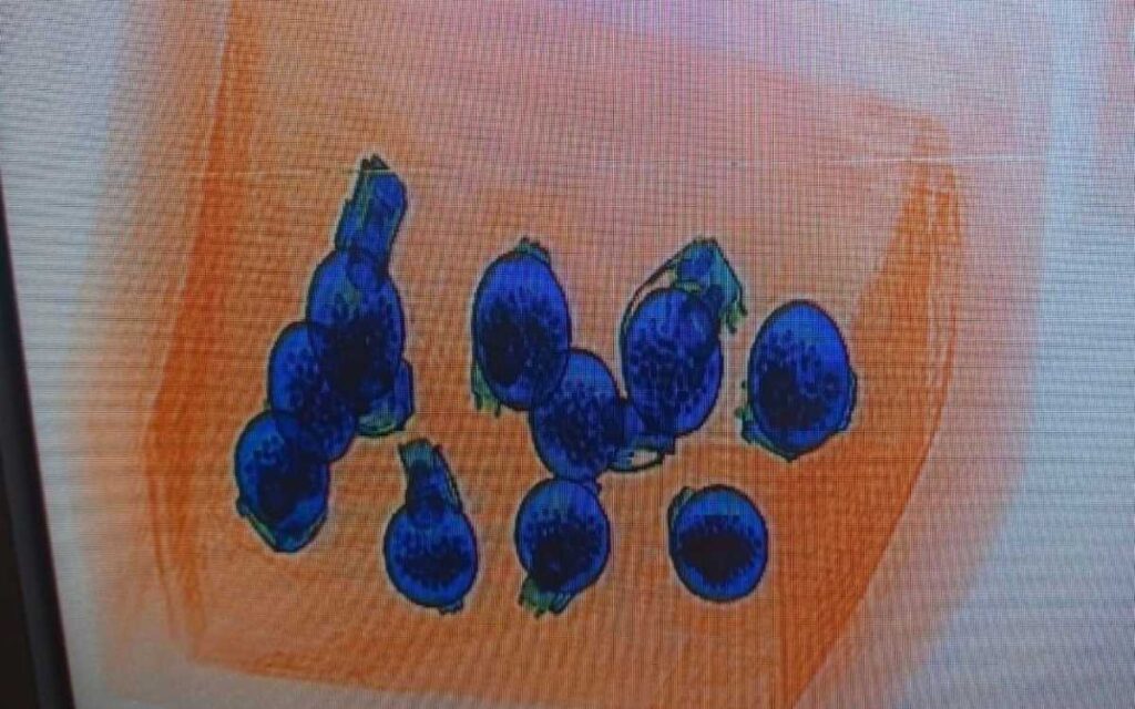 Guardia Nacional localiza y resguarda 10 granadas en Iztapalapa | Fotos