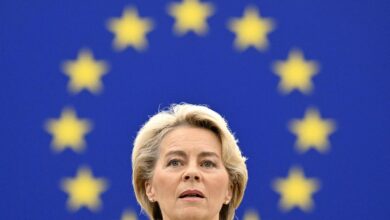Hoy el gas ruso, mañana las tierras raras chinas: la UE quiere reducir su dependencia en materias primas estratégicas