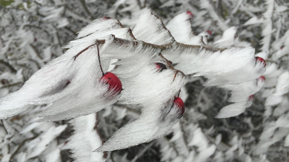 Lluvia engelante: Descubre qué es