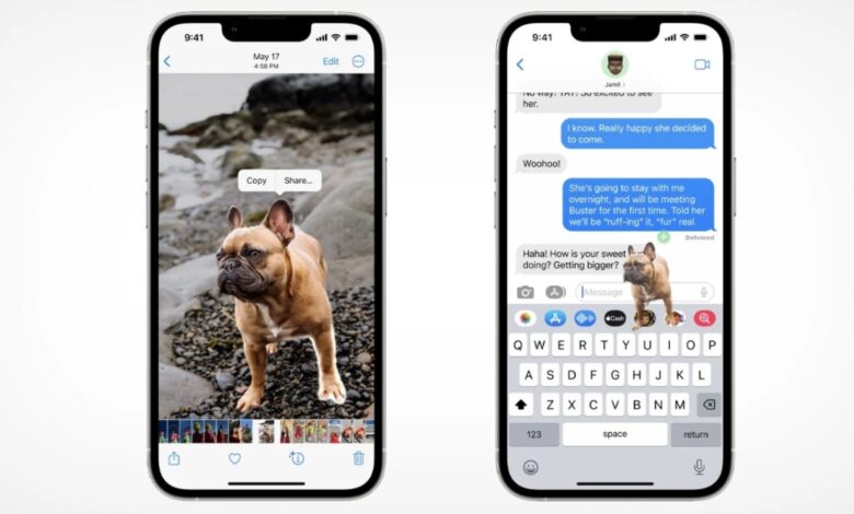 Los usuarios de iOS 16 se están volviendo creativos con la nueva función de eliminación de fondo para fotos