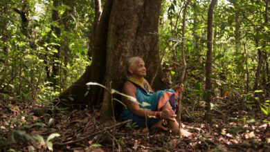'Magia en sus manos'. La mujer que devuelve la vida a los bosques de la India