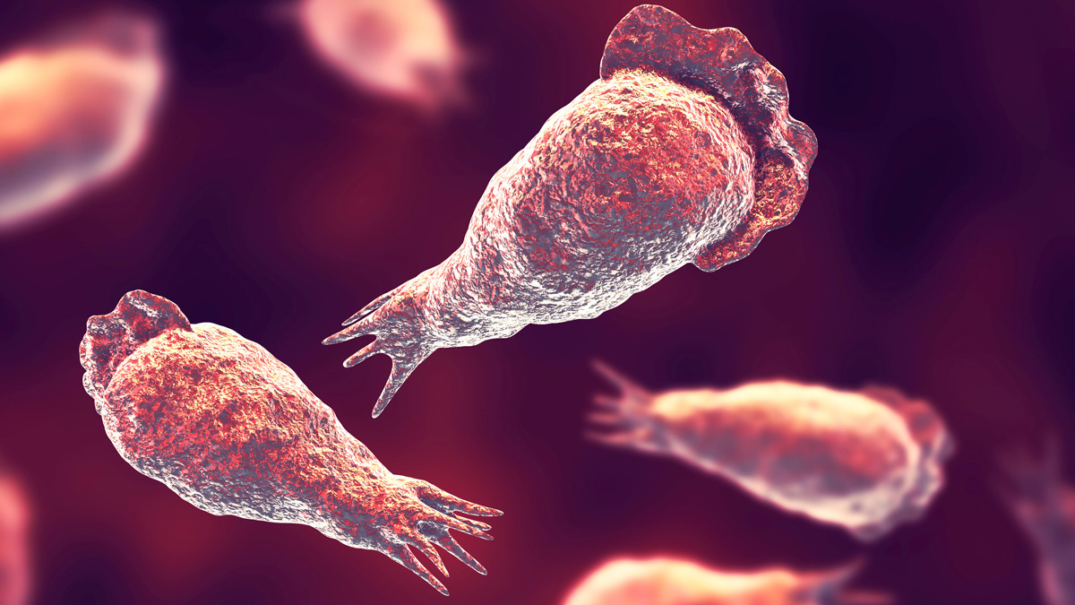 Menor con bacteria comecerebro en Florida va a hospital de Chicago