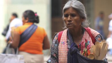 México, la República de la Precariedad: Acción Ciudadana Frente la Pobreza