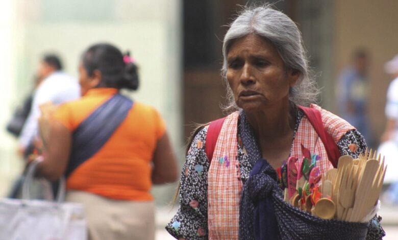 México, la República de la Precariedad: Acción Ciudadana Frente la Pobreza