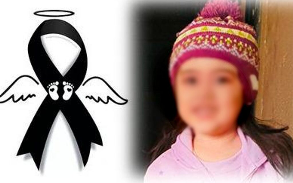 Mientras discutían reforma a GN, Diputados guardan minuto de silencio por asesinato de la niña Heidi Mariana | Video