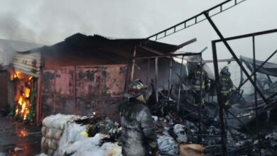 Mueren atrapados tres perros en incendio en Iztapalapa