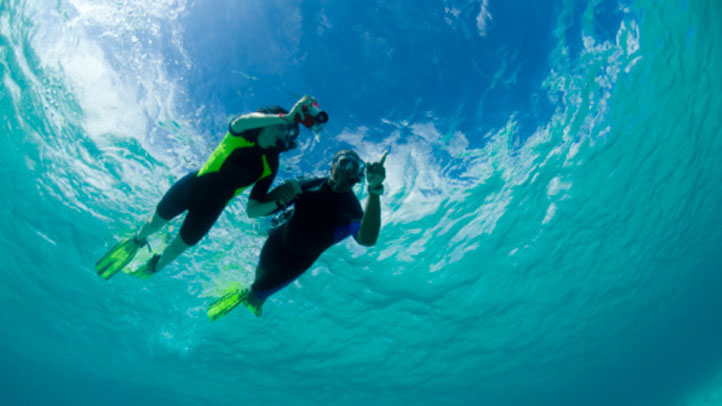 Mujer de Pensilvania muere tras ser atacada por un tiburón durante sus vacaciones en Bahamas