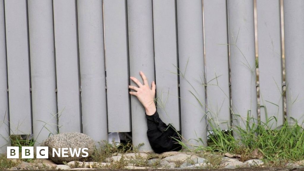 Niños retirados del recinto de la selva de la secta judía en México