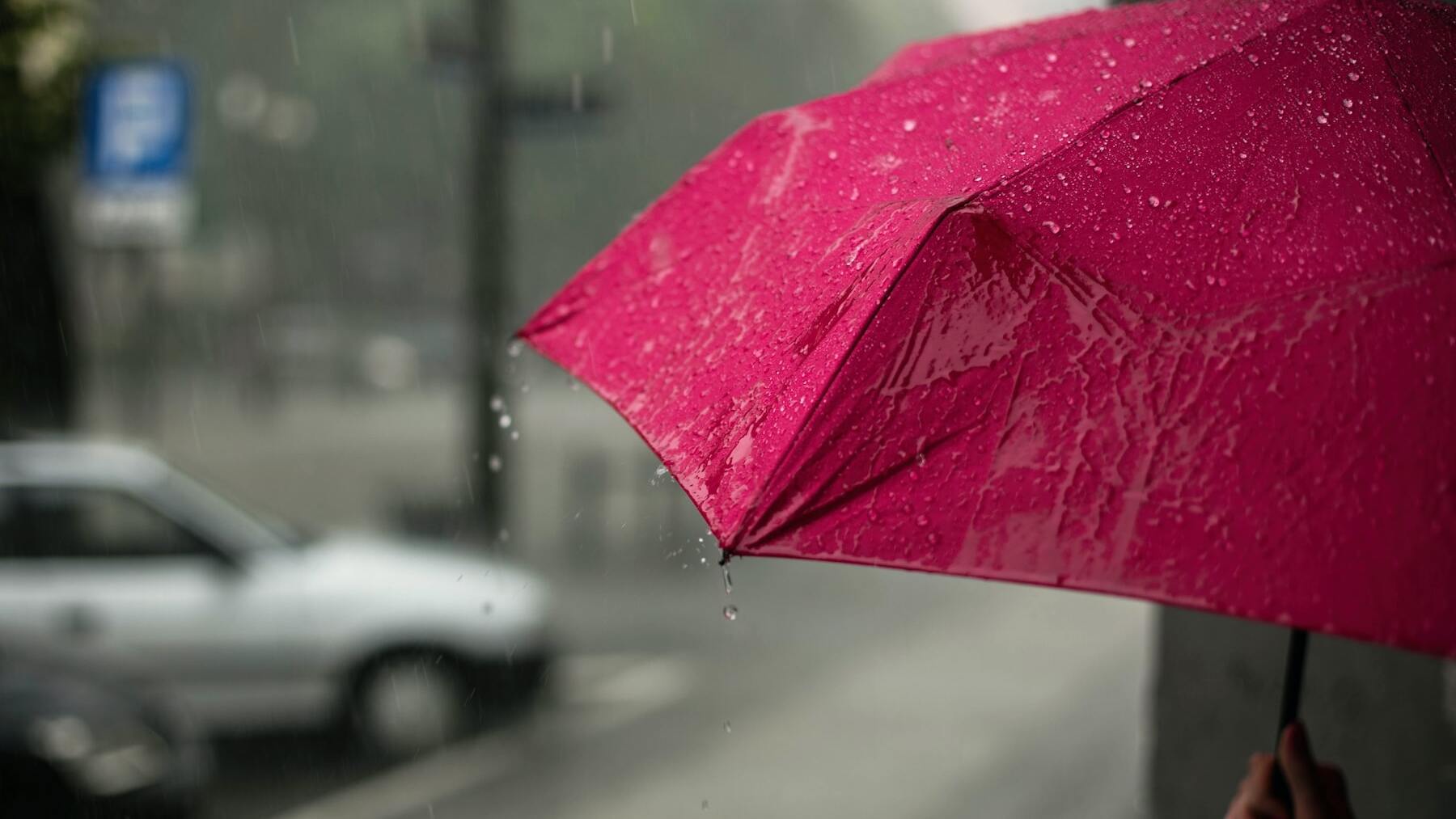No te bebas nunca el agua de lluvia, podría pasarte esto