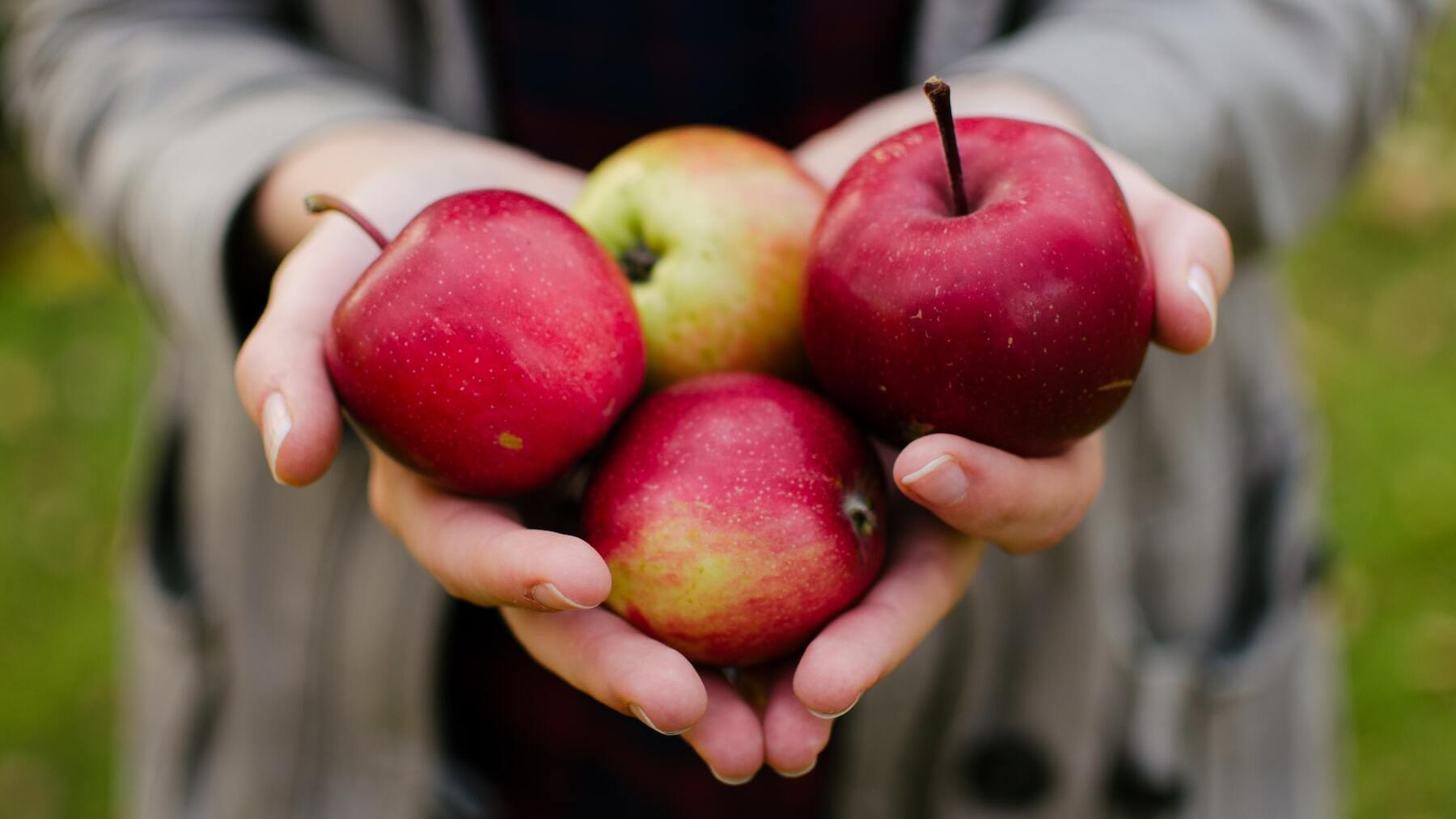 Nunca te comas una manzana si tiene esto: tírala de inmediato