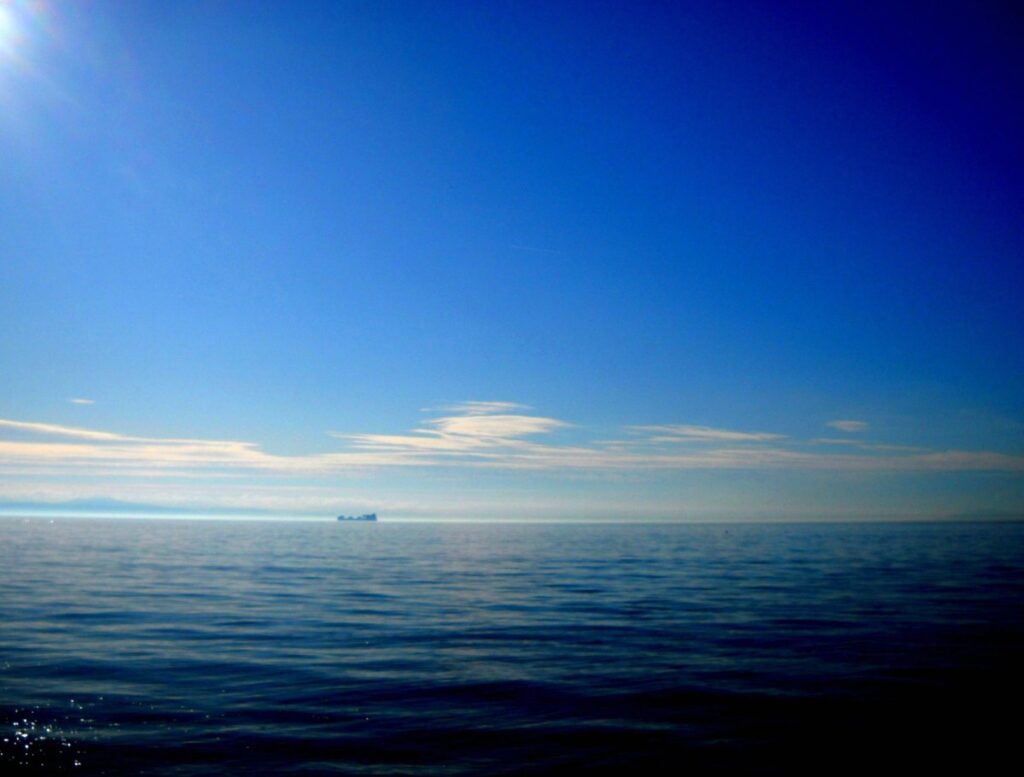 Nyshex obtiene nuevos $ 25 millones para unir a los cargadores con los transportistas marítimos