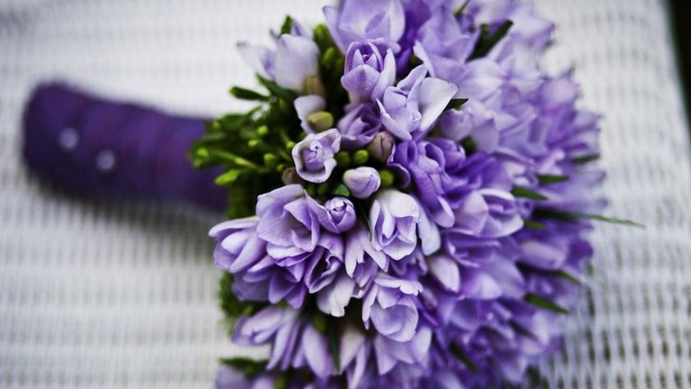 Por qué regalar flores sigue estando de moda