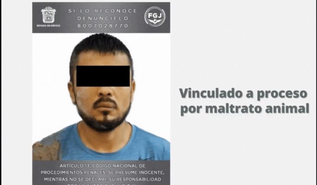 Procesan a hombre que arrastró a una perrita amarrada a la defensa de su auto