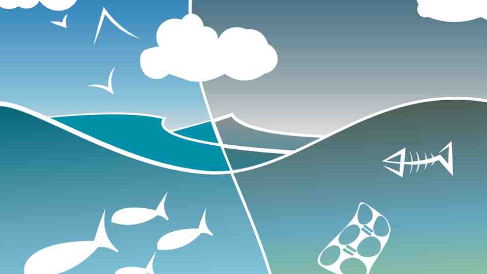 Qué son y por qué contaminan el 90% de la sal que consumimos