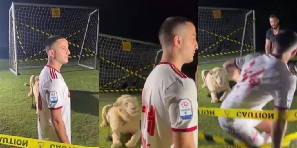 Susto monumental de Manolas junto a un león en su presentación