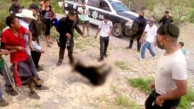 Torturaron a osita hasta morir, ahora policías son vinculados a proceso