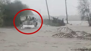 Trabajadores de CFE quedaron atrapados en arroyo tras fuertes lluvias en NL | Video