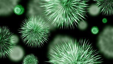 Virus desconocido provoca neumonía y mata a dos pacientes en Argentina