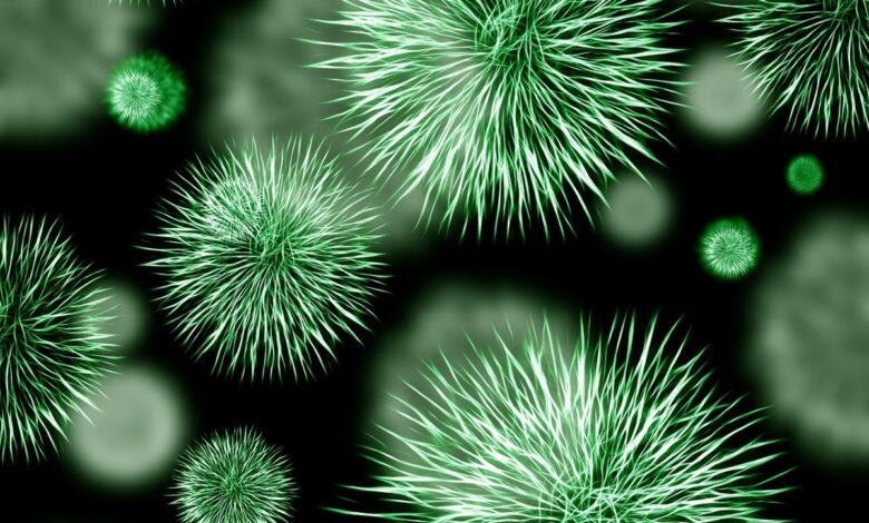 Virus desconocido provoca neumonía y mata a dos pacientes en Argentina