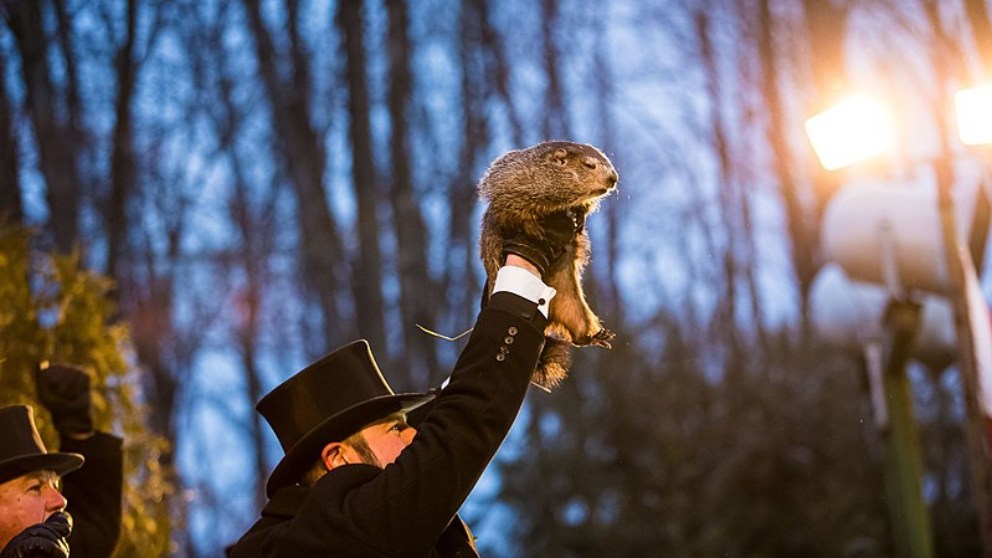 ¿Cómo predice la marmota Phil el tiempo?