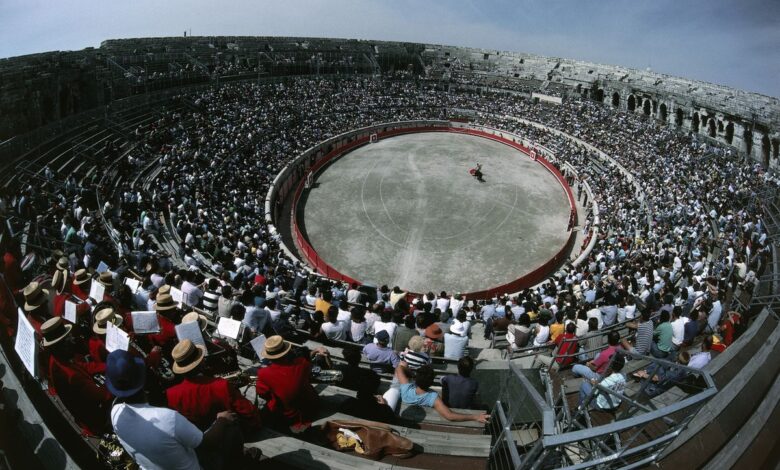 ¿El fin de los toros en Francia? La pelea llega a la Asamblea Nacional