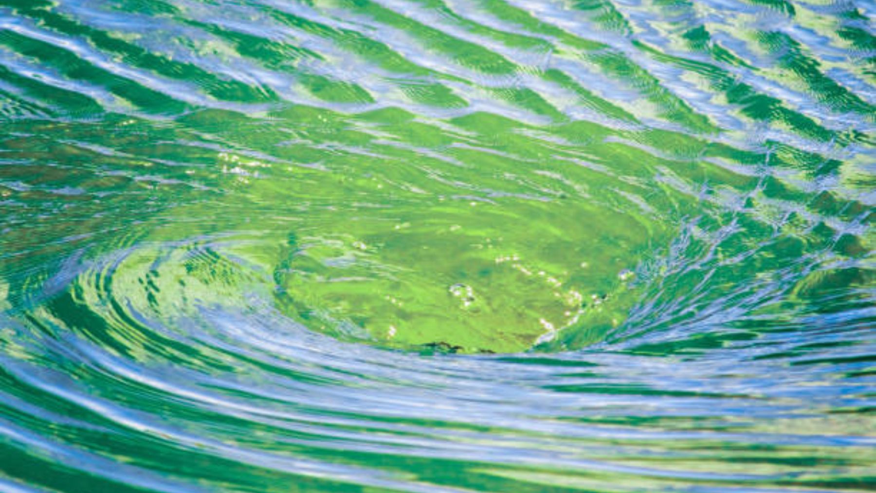 ¿Es verdad que el agua gira en sentido contrario según el hemisferio?