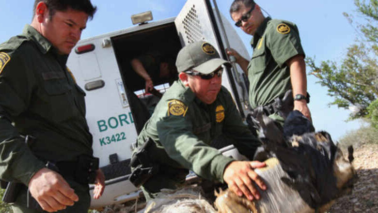 ¿Por qué Texas, Florida y Arizona están enviando migrantes a NY y Washington?