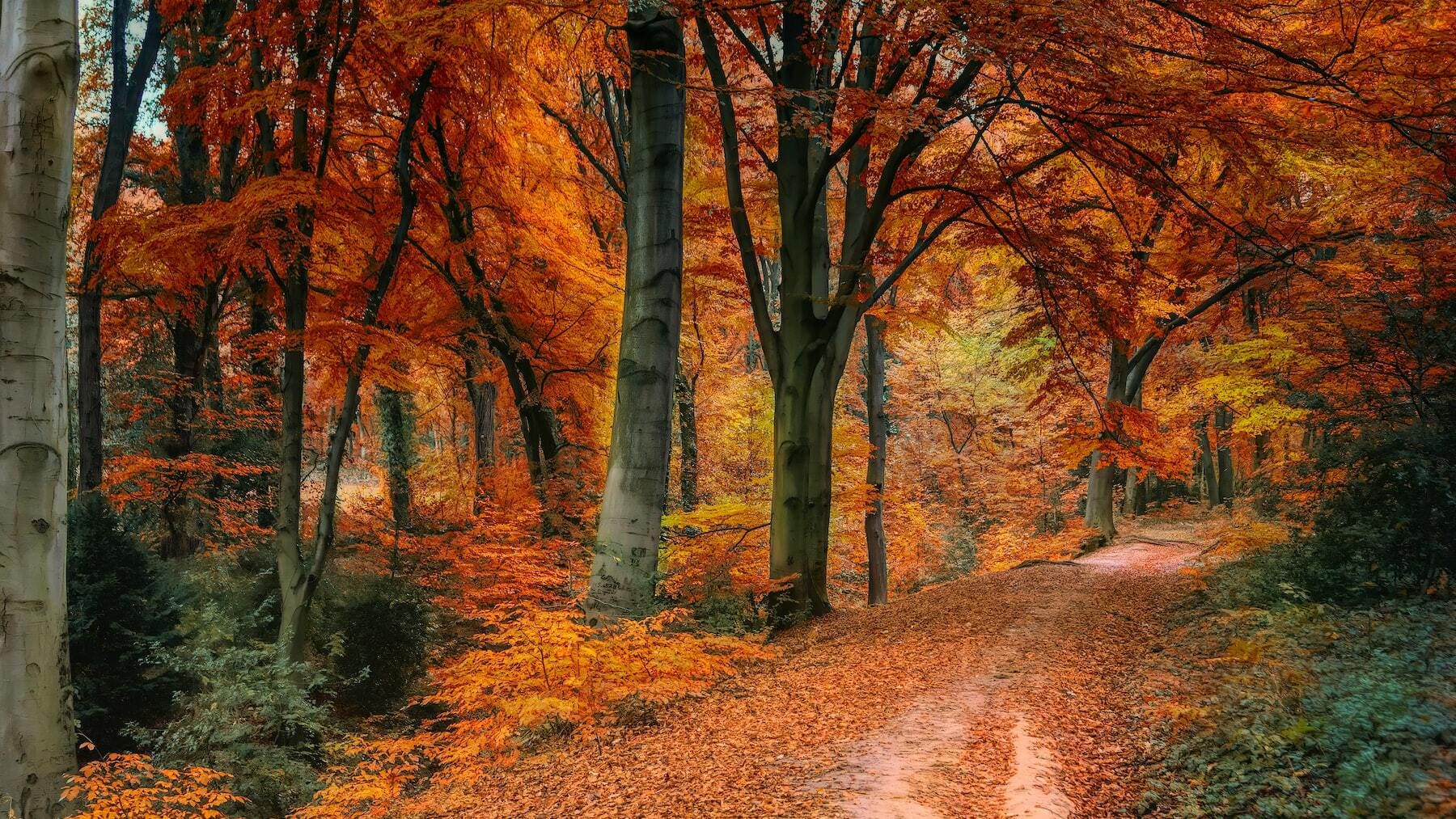 ¿Qué es el equinoccio de otoño y por qué se produce?