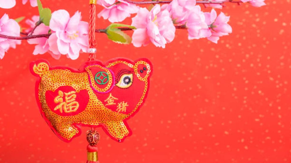 ¿Qué significa el cerdo en el horóscopo chino?