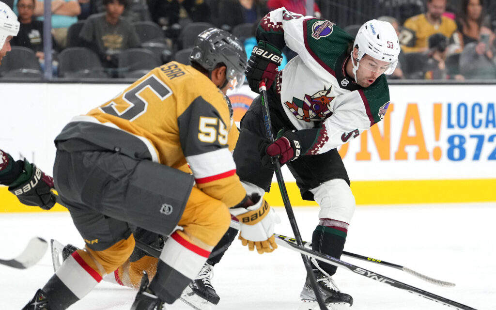 ¿Llegará el hockey de la NHL a la Ciudad de México? | Tuit