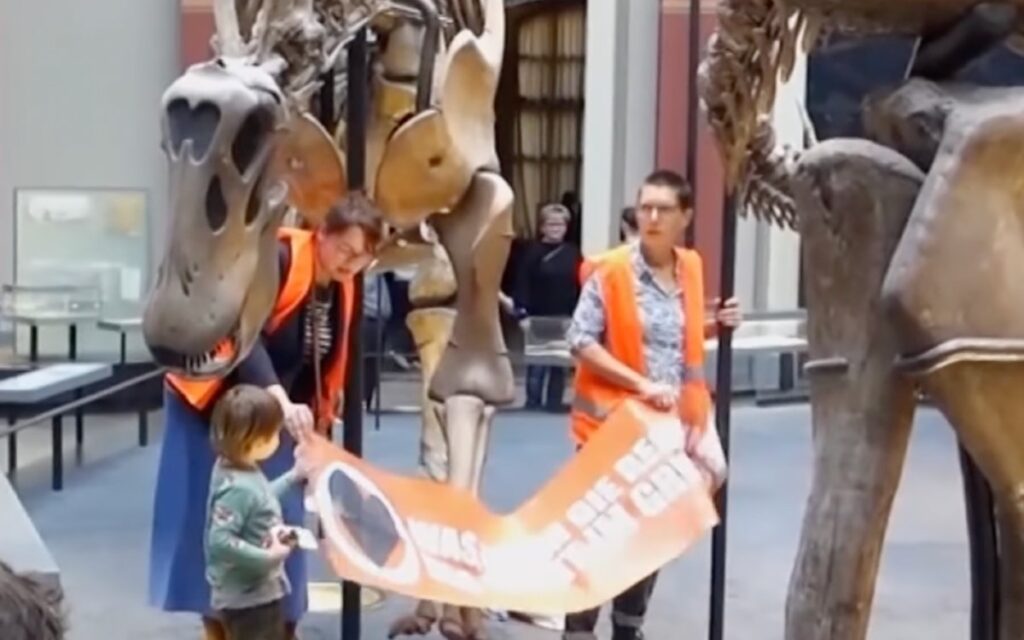 '¿Queremos extinguirnos o sobrevivir?' Activistas climáticos se pegan a esqueleto de dinosaurio