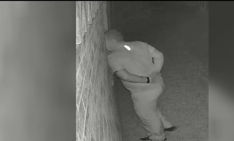 Arrestan a sujeto que miraba en una casa de Plano