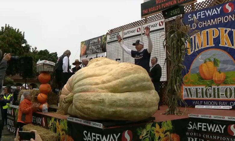 Calabaza gigante de 2,560 libras gana Campeonato Mundial de Pesaje de Calabazas en Half Moon Bay