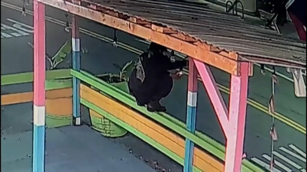 Desconocido toma bandera de restaurante puertorriqueño e intenta quemarla en Oakland