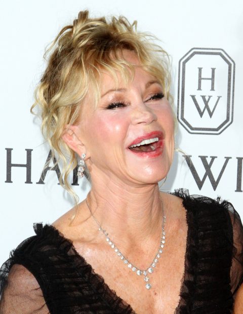 Melanie Griffith en 2017 / Gtres